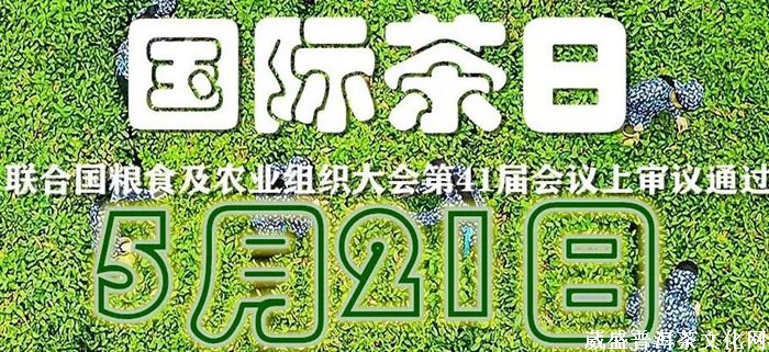 一山一味||同一款茶，兩次品茗？